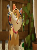 Miss Moxy. Kocia ekipa