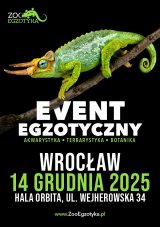 ZooEgzotyka Wrocław
