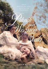 Cykl Ale Kino - Piknik pod Wiszącą Skałą