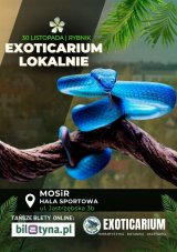 EXOTICARIUM LOKALNIE Targi Terrarystyczne Rybnik