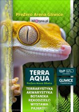 TERRA  AQUA GLIWICE / TARGI AKWARYSTYKI / PIĘKNO RĘKODZIEŁA  / WYSTAWA PAJĄKÓW