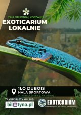 EXOTICARIUM LOKALNIE Targi Terrarystyczne Koszalin dwudniowe 13-14 grudnia