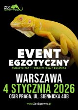 ZooEgzotyka Warszawa
