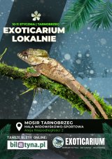 EXOTICARIUM LOKALNIE Targi Terrarystyczne Tarnobrzeg dwudniowe 10-11 stycznia
