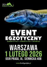 ZooEgzotyka Warszawa