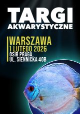 Targi Akwarystyczne Warszawa
