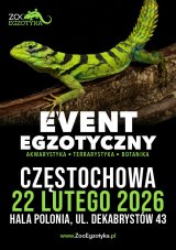 ZooEgzotyka - Częstochowa