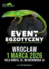 ZooEgzotyka Wrocław