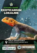EXOTICARIUM LOKALNIE Targi Terrarystyczne Zamość