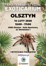 Olsztyn - Targi Terrarystyczne Exoticarium + Wystawa Pająków