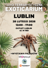 Lublin - Targi Terrarystyczne Exoticarium + Wystawa Pająków