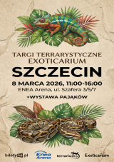 Szczecin - Targi Terrarystyczne Exoticarium + Wystawa Pająków