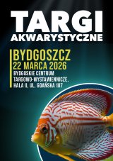 Targi Akwarystyczne - Bydgoszcz