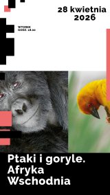 Ptaki i goryle. Afryka Wschodnia i Kongo: spotkanie globtroterów