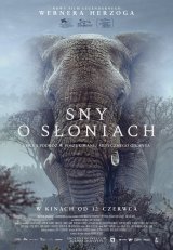 Sny o słoniach: KADR NON-FICTION
