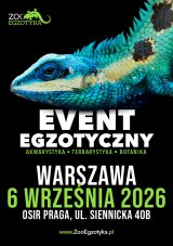 ZooEgzotyka Warszawa