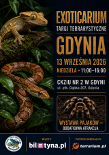 Gdynia - Targi Terrarystyczne Exoticarium + Wystawa Pająków