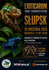 Słupsk - Targi Terrarystyczne Exoticarium + Wystawa Pająków
