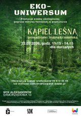 Kąpiel leśna dla dorosłych