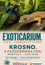 Krosno - Targi Terrarystyczne Exoticarium + Wystawa Pająków