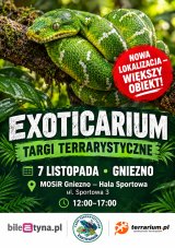 Gniezno - Targi Terrarystyczne Exoticarium + Wystawa Pająków