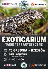 Rzeszów - Targi Terrarystyczne Exoticarium + Wystawa Pająków