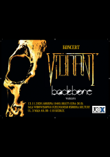 Koncert Vibrant i Backbone
