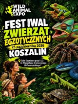 Wild Animal Expo – Targi Zwierząt Egzotycznych w Koszalinie –  25 Październik 2026
