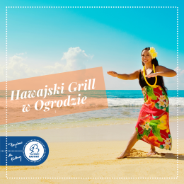 Domówka w Batorym - Hawajski Grill w Ogrodzie