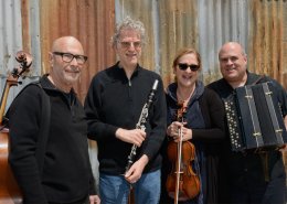 Veretski Pass: Poyln