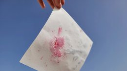 KOLOR – RYTM – OBRAZ. WARSZTATY MALOWANIA ODDECHEM