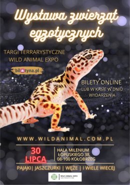 Wystawa zwierząt egzotycznych / Targi Terrarystyczne Kołobrzeg 30-07-2023 Wild Animal Expo