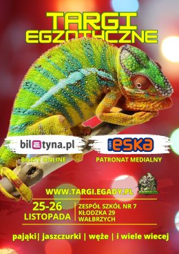 Wystawa - Targi terrarystyczne Wałbrzych