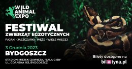 Wild Animal Expo - Festiwal Zwierząt Egzotycznych Bydgoszcz 3-12-2023