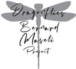 Bernard Maseli Dragonflies Project