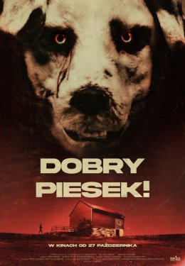 Dobry piesek