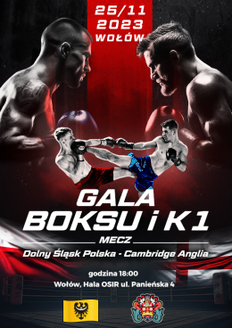 Gala Boksu i K1: mecz Dolny Śląsk Polska - Cambridge Anglia