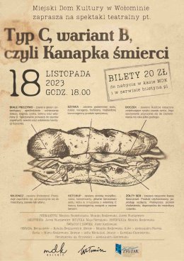 „Typ C, wariant B” Zespół Teatralny „Zygzak”