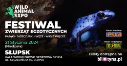 Wild Animal Expo - Festiwal Zwierząt Egzotycznych Słupsk 21-01-2024