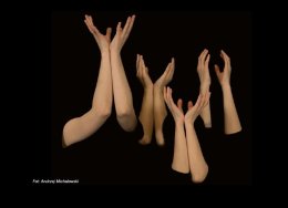 SILENCE OF THE BODY. MILCZĄCE CIAŁO