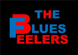 Potańcówka bluesowo-rockowa z The Blues Feelers
