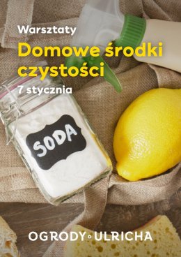 Warsztaty ekologiczne: domowe środki czystości