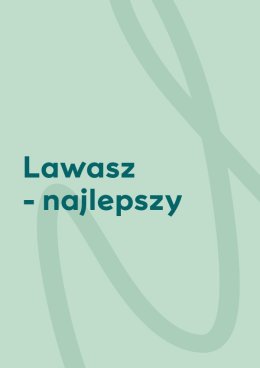 Warsztaty w SKENDE - Lawasz - najlepszy