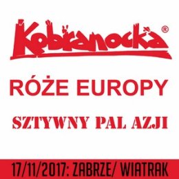 Kobranocka, Róże Europy, Sztywny Pal Azji