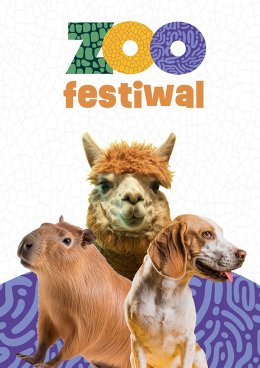 ZOO festiwal