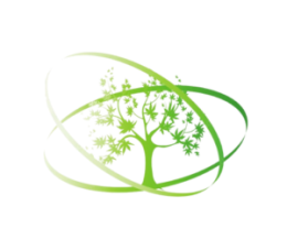 Spotkania z Totalną Biologią