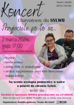 Plakat Koncert Charytatywny dla Sylwii - Przyjaciele po to są 262930