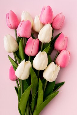 Koncert symfoniczny z okazji Dnia Kobiet