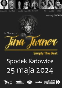 In Memory Of Tina Turner - Simply The Best