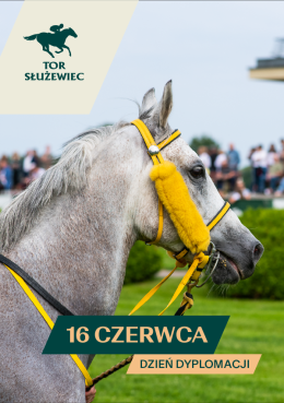 Dzień Dyplomacji WSTĘP WOLNY - Wyścigi konne na Torze Służewiec 2024